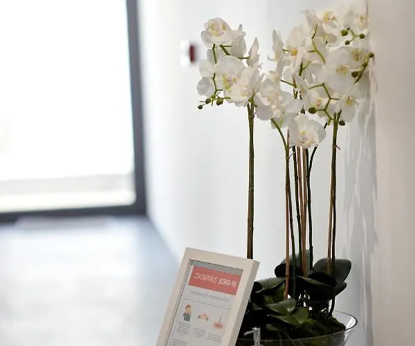 Apartmán Signature Santa Catarina