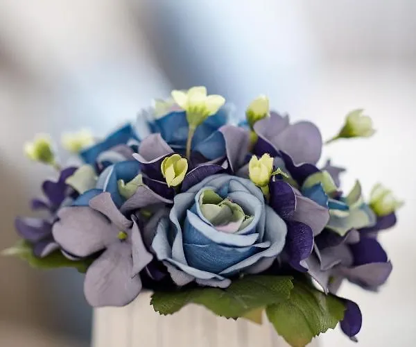 Signature Santa Catarina Appartement *